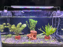 燕之雁 鱼缸LED水草灯 三档变色 照明灯 增艳灯 适用鱼缸38-50cm 10W 实拍图