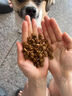 伯纳天纯（Pure&Natural）狗粮小型犬中大型犬幼犬成犬全价通用粮四拼冻干鹿肉味12kg/24斤 实拍图