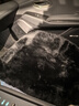 迪加伦 羊毛汽车坐垫 冬季短毛绒坐垫 纯 皮毛一体羊剪绒车垫冬天毛绒毛垫车用座垫 三件套-黑色 实拍图