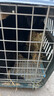 中华田园犬小型长不大适合小孩家养的高智商狗狗活物狗崽狗仔幼犬 田园级 小黑狗+狗粮+狗笼+包邮 公 实拍图