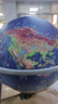 金球（jinqiu)32cm大号万向高浮雕3D立体AR地球仪办公摆件智能早教初高中学习用品男女孩玩具儿童礼物 实拍图