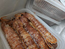 一虾一世界鲜活熟冻皮皮虾 新鲜虾爬子濑尿虾大号爬爬虾肉虾婆肉 烧烤食材 中公皮皮虾 3斤(净重)  【500g*3盒】 实拍图