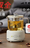 养生壶烧水壶热水壶恒温壶煮茶壶泡茶壶一体玻璃全自动小家用多功能办公室大容量 0.7L 智能款养生壶【单壶】 实拍图