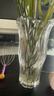 墨斗鱼花瓶轻奢玻璃高22cm大口径透明摆件郁金香富贵竹培容器元旦送礼物 实拍图