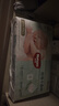 好奇（Huggies）小森林纸尿裤S62片(4-8kg)尿不湿心钻【透氧顶配更低敏】 实拍图
