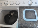 小鸭【官方店】半自动洗衣机迷你小型波轮大容量租房宿舍家用双桶双缸分区脱水甩干老式强力去污 18.5KG【洗12+脱6.5+强劲电机全国联保】 实拍图