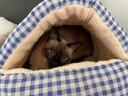 贝初众猫窝保暖冬季半封闭式狗窝小型犬可拆洗猫屋大号四季通用猫窝猫床 风铃蓝 中号【建议16斤内】 加倍填充不塌陷|四季通用 实拍图