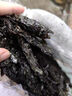 富昌 紫菜30g 福建特产 海产干货 海带虾皮紫菜蛋花汤煲汤海苔食材 实拍图