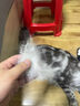 憨憨乐园猫梳子梳毛专用开结去浮毛神器密齿狗狗宠物猫咪排梳子 长短款 实拍图