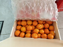 京鲜生 正宗广西砂糖橘净重4.5斤 单果35-55mm 精品果 源头直发包邮 实拍图