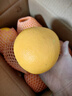 京觅秭归脐橙纽荷尔橙子净重7斤霸王橙单果300g+新鲜水果源头直发包邮 实拍图