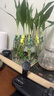 芷郁水培植物生长伴侣水培器皿扶正扶枝桌面装饰固定造型防倒伏叶 6个 实拍图