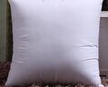 艾薇抱枕家纺 高弹沙发抱枕芯 汽车方垫芯 办公室靠垫芯60*60cm单只装 实拍图