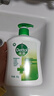 滴露健康抑菌洗手液滋润倍护 儿童成人通用家庭组合清洁套装洗手液 滋润+松木450g*4 实拍图