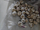 食尚半岛山东金乡鱼台大蒜农家自种干蒜新鲜蔬菜紫皮批发多瓣祘头当季 【中果】精品大蒜5斤 实拍图