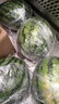 京鲜生 无籽麒麟大西瓜 1粒装 7-9斤 生鲜水果 实拍图