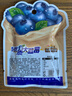 三只松鼠每日蓝莓干256g/16包 无添加水果干果脯小包装儿童老人办公室零食 实拍图