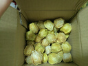 果犇犇云南姑娘果特大应季灯笼果水果新鲜现货甜菇凉当季整箱黄菇娘果 1斤优品装（40-70个） 实拍图