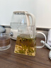 泥也茶壶公道杯月牙绿茶壶泡茶壶玻璃绿茶专用茶具茶漏过滤茶杯办公杯 实拍图