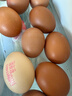 德青源PLUS联名款A+级鲜鸡蛋32枚2.74斤无抗生素 源头直发 1件包邮 实拍图