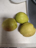 京鲜生 新疆库尔勒香梨 净重10斤 一级 单果100-120g 生鲜水果 实拍图