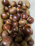 东东农场专供25年丹东新板栗现摘现发炒菜专用新鲜生鲜1斤甘甜软糯赠栗爪工具 实拍图