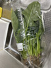 大菠菜300g 实拍图