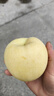 甜醉了 烟台苹果黄元帅粉面苹果黄金帅黄香蕉山东新鲜水果当季整箱鲜果 净重5斤特大果85mm 实拍图