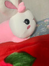 熊猫熊小兔子玩偶布娃娃毛绒玩具睡觉抱枕长条儿童女生日圣诞节礼物女孩 实拍图