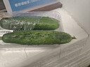 【水果菜】东北旱黄瓜约550g 实拍图