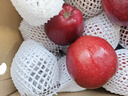 京鲜生 甘肃天水花牛苹果 又大又红 净重10斤 单果200g以上 新鲜水果  实拍图