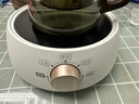 苏泊尔（SUPOR）迷你电陶炉煮茶器煮茶炉煮茶壶养生围炉煮茶茶艺炉泡茶家用办公老白茶黑茶花茶不挑器具SW-DTL01 实拍图