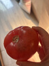 京鲜生 攀枝花沙瓤西红柿净重4.5斤礼盒单果150g起酸甜多汁源头直发包邮 实拍图
