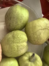 亨迅【新疆直邮】新疆库尔勒香梨子 应季时令水果生鲜 净重5斤装丨单果80-100g 实拍图