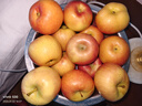 京鲜生 新疆阿克苏苹果 净重4.5斤 果径75-80mm 水果源头直发 实拍图