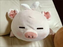 名创优品（MINISO）小猪B-BO弹力超柔趴姿毛绒公仔玩偶抱枕玩具送女友生日新年礼物女 实拍图