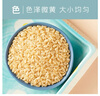 十月稻田 糙米 2斤 低脂粗粮 杂粮米新米 保留胚芽 粥米 全谷物 实拍图