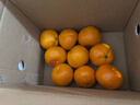 京鲜生 无核蜜桔 精选5斤装橘子/桔子  单果80g+ 生鲜水果礼盒 实拍图