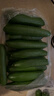 京鲜生 山东荷兰水果黄瓜 净4.5斤 单果70g+ 健康轻食早餐蔬菜 源头直发 实拍图