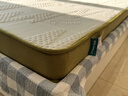 大自然床垫 植物山棕乳胶防螨软硬两用床垫1.8x2米床褥床垫子【V系列】 v11/180*200*11CM 实拍图