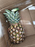 佳农 菲律宾进口菠萝 2个装 凤梨 单果净重2斤 生鲜水果源头直发 包邮 实拍图