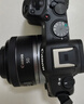 佳能（Canon）EOS R8 全画幅微单数码相机 RF24-50镜头套装（约2420万像素/小型轻量） 实拍图