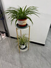 小匠材花架客厅落地式铁艺立柱植物摆放架花盆托层置物架阳台金白30*80 实拍图