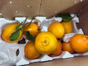 泰汇吃四川春见耙耙柑新鲜水果整箱孕妇橘子时令柑橘 净4.5斤精选单果120-140g 实拍图