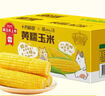 十月稻田 黄糯玉米 3.52斤(220g*8根) 25年新玉米 低脂粗粮 早餐 联名款 实拍图