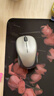 罗技（Logitech）M235无线鼠标光电 USB无线办公鼠标电池 笔记本台式电脑通用Mac鼠标中小手适用企业采购 灰色 M235灰色 实拍图