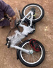 奥仕龙（AO SHI LONG）库洛米儿童自行车女孩3-5-6岁小孩单车14寸脚踏童车 源头直发 实拍图