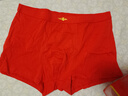 浪莎大红内裤男纯棉本命年属马年骐骥红4条礼物大码裤衩平角男内裤 实拍图