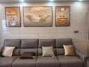 Sixpoetry 客厅装饰画现代简约沙发背景墙壁画轻奢三联晶瓷画大气高档挂画 福禄生花（铝合金外框） 晶瓷画左右60*80+中间120*80亮面 实拍图
