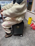 Airwheel爱尔威电动行李箱可骑行拉杆箱可坐可代步铝框箱包20英寸登机箱 实拍图